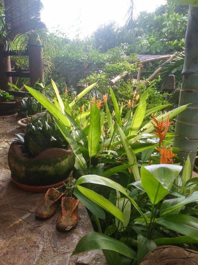 Posada Olivo مازونتي المظهر الخارجي الصورة