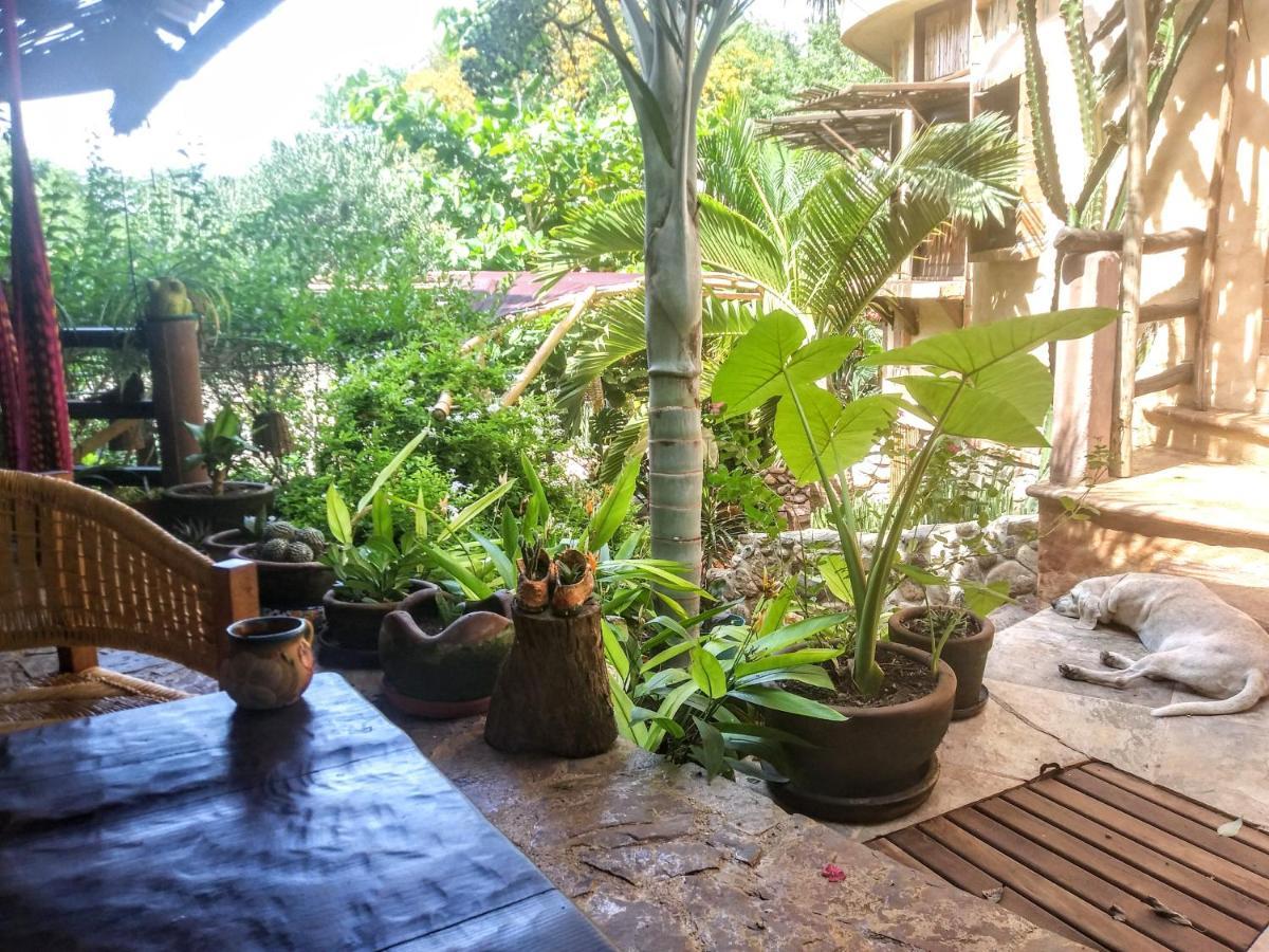 Posada Olivo مازونتي المظهر الخارجي الصورة