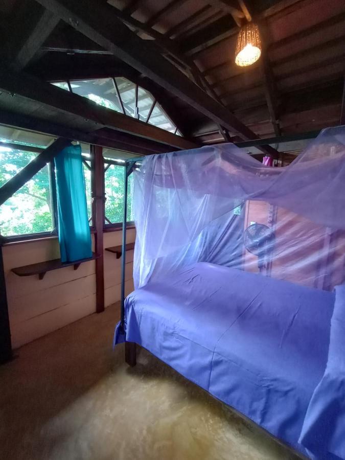 Posada Olivo مازونتي المظهر الخارجي الصورة